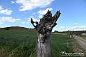 VBS_5333 - La solita strada... il grano da crescere, i campi da arare...